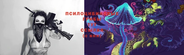 метадон Дмитровск