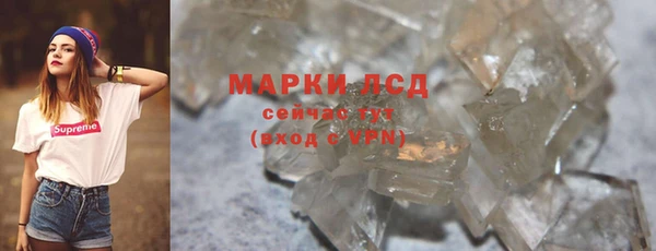 ПСИЛОЦИБИНОВЫЕ ГРИБЫ Елабуга