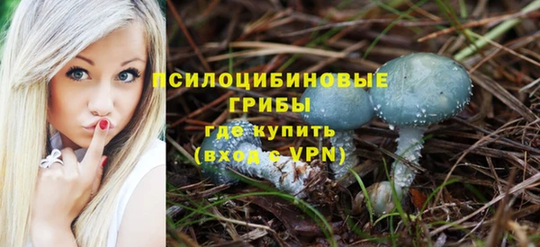 ПСИЛОЦИБИНОВЫЕ ГРИБЫ Елабуга