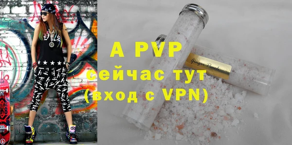 ПСИЛОЦИБИНОВЫЕ ГРИБЫ Елабуга