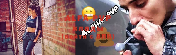 ПСИЛОЦИБИНОВЫЕ ГРИБЫ Елабуга